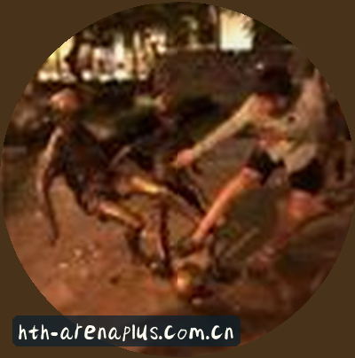 赵磊